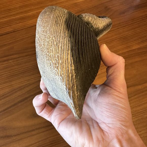 VINTAGE SIGNED The Duck Shop Macomb IL WOOD DUCK DECOY GLASS EYES Bufflehead - Picture 8 of 10